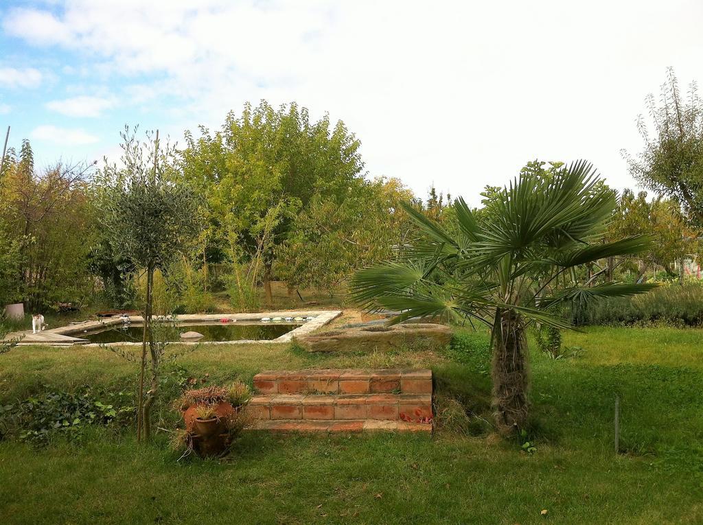 Hotel Rural Marialba Monte la Reina Exterior photo